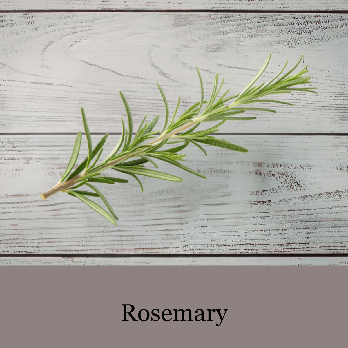 FOREST ESCAPE - Botanical Bath Tea - a quiet soak inspired by the forest