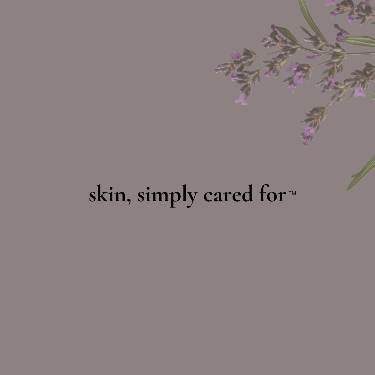 BLUSHED SALT - Body Soap Bar - soft florals & salty air