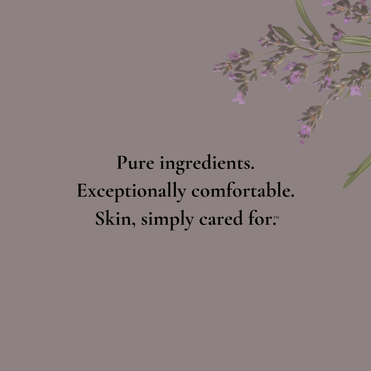 DESERT RESERVE - Body Soap Bar - warm woods & desert air