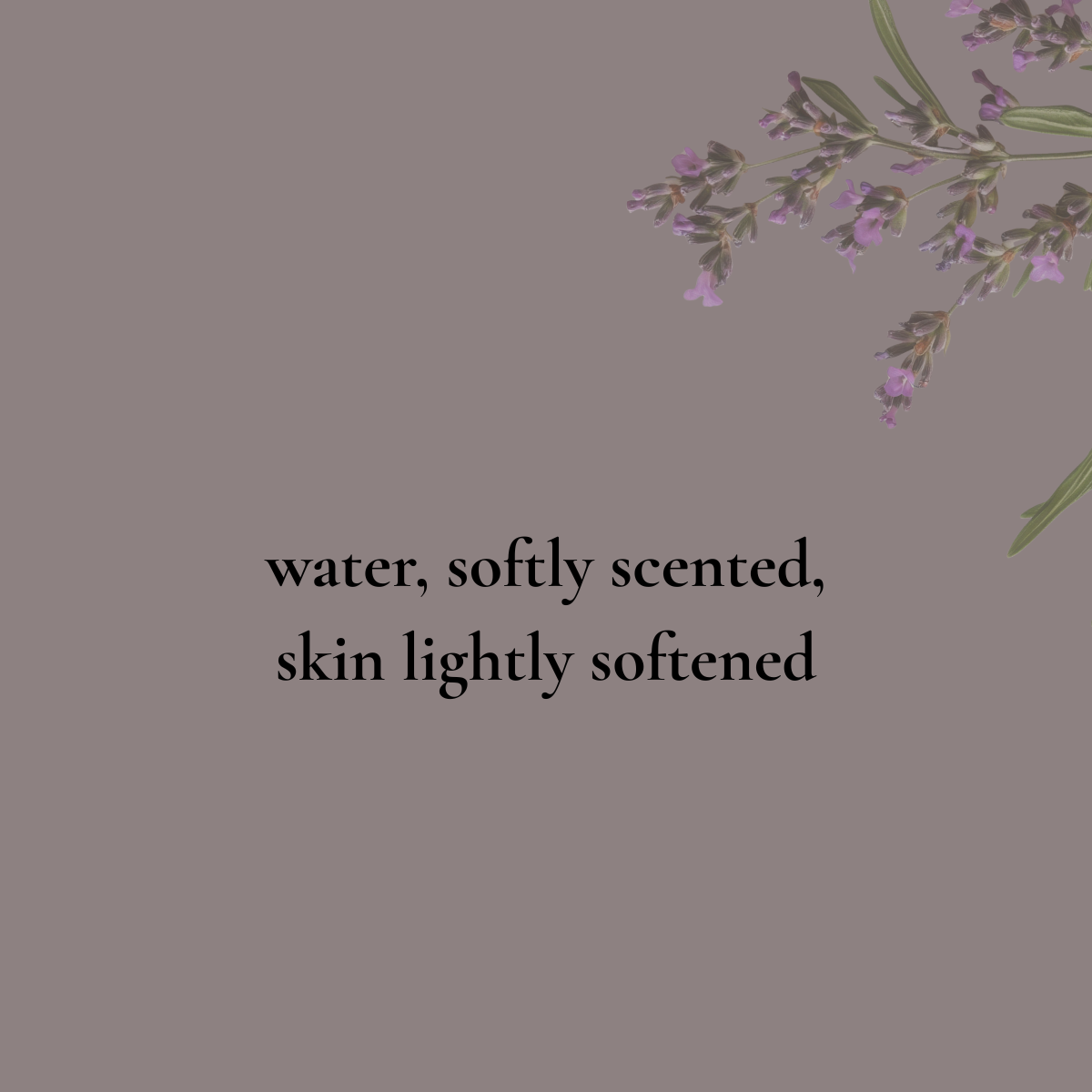 BARE SAND - Bath Bomb - warm, soft, and skin-like