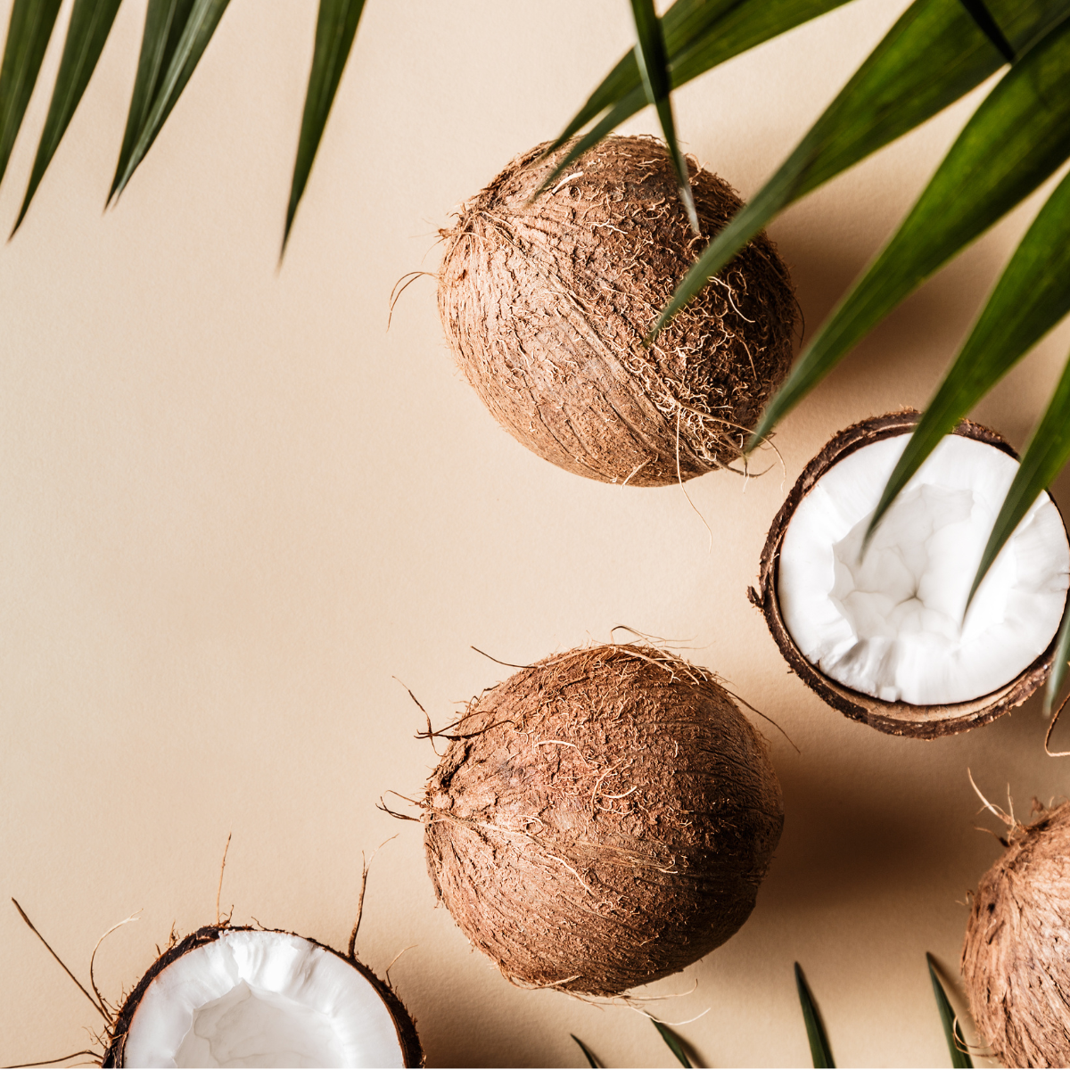 COCONUT WATER - Bath Bomb - fresh coconut with a clean, soft tropical freshness
