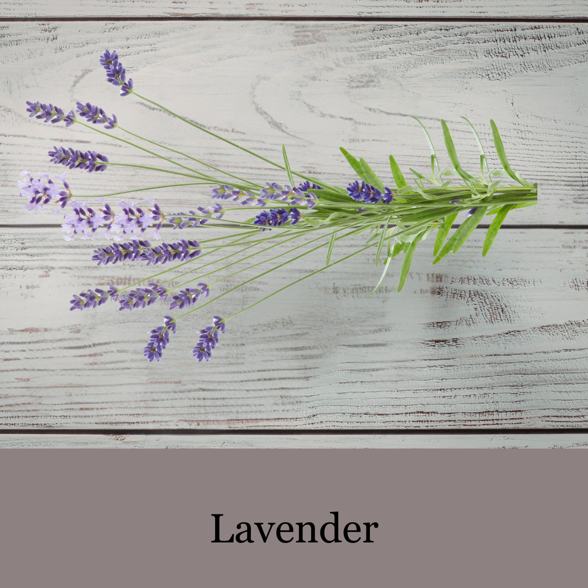 HERBAL CALM - Botanical Bath Tea - gentle, soothing botanical soak