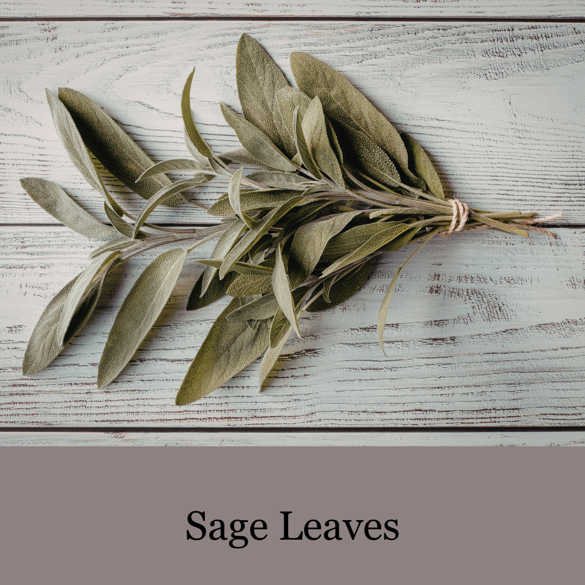 FOREST ESCAPE - Botanical Bath Tea - a quiet soak inspired by the forest